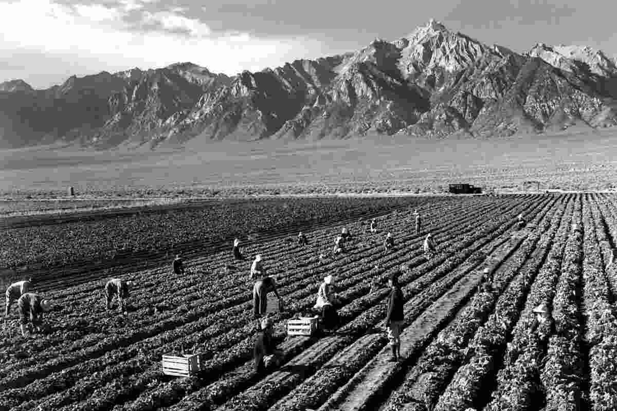 Ansel Adams, paesaggio