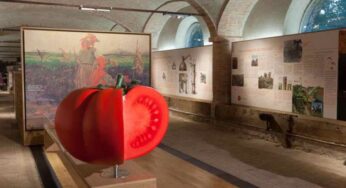 I 10 musei più bizzarri in Italia