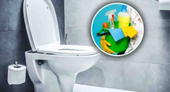 Pulizia wc, è questo l’unico metodo naturale per disinfettarlo: altro che candeggina